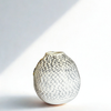 The Vase Collection |Vase 01