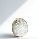 The Vase Collection |Vase 01