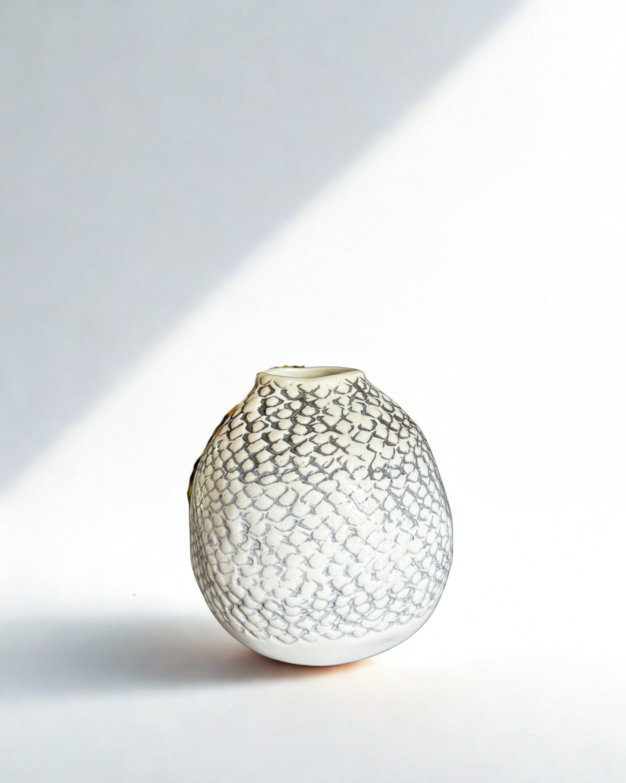 The Vase Collection |Vase 01