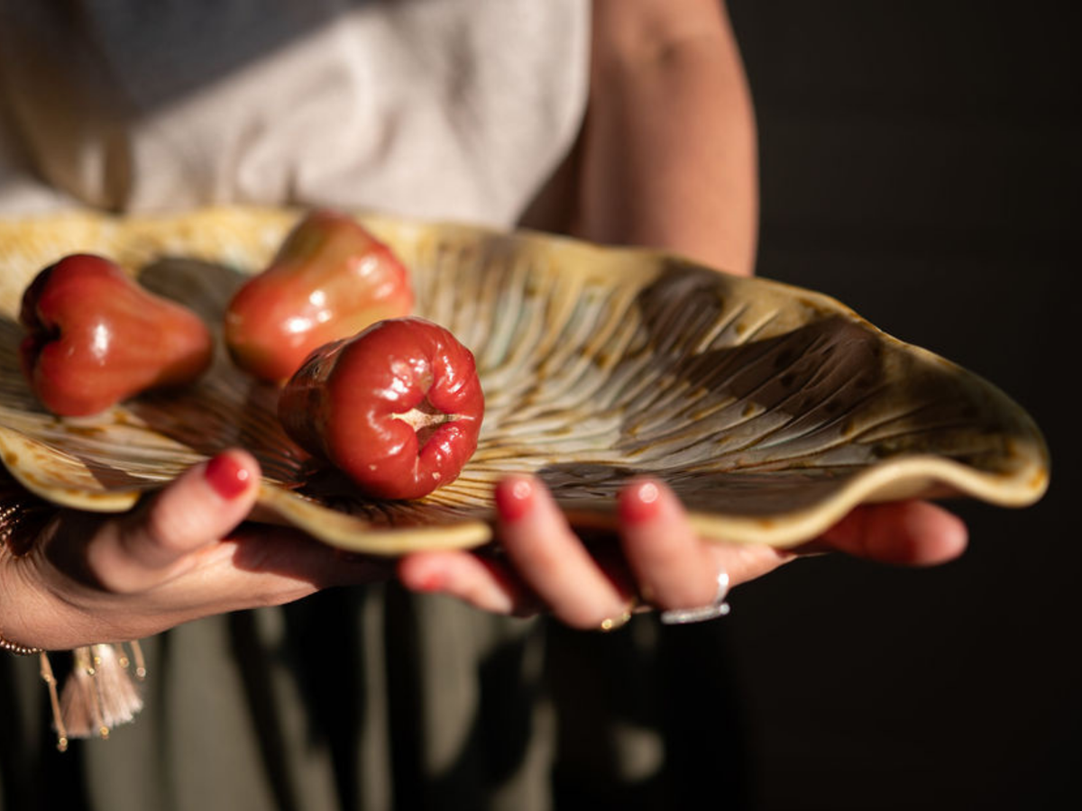 Koh Collection |The Coral Plate XL 48cm