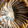 Morning Glory | Bowl